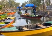 Nikmati Liburan Dengan Hutan Gelam Dan Berperahu Di Sungai Hanya Di Wisata Alam Gelam Forest Fantasi