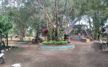 Nikmati Indahnya Hutan Gelam Alami Dengan Aliran Sungainya, Hanya Di Gelam Forest Fantasi