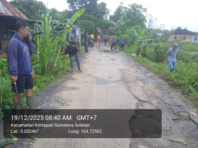 IMG-20251219-WA0124