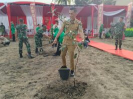 LurahTalangjambe Asrahuddin Ajak Warga Rawat Pohon, Dukung Penghijauan Berkelanjutan