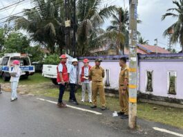 Sinergi Lurah Sentosa Herwansyah dan PLN, Pastikan Keselamatan Pengguna Jalan Ki Anwar Mangku