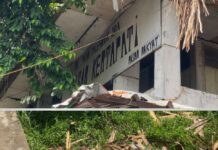 Tindaklanjuti Arahan Wali Kota, Pohon Tua di Kertapati Ditinjau