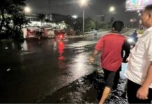 2Camat Rifandi Putra Cek Langsung Titik Rawan Pohon Tumbang di Kertapati