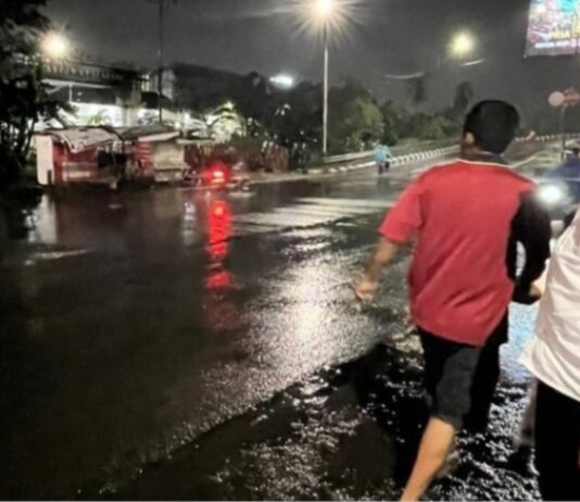2Camat Rifandi Putra Cek Langsung Titik Rawan Pohon Tumbang di Kertapati