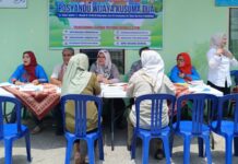 Hari Posyandu Nasional, Lurah Lima Ilir Soroti Pentingnya Pelayanan 6 SPM