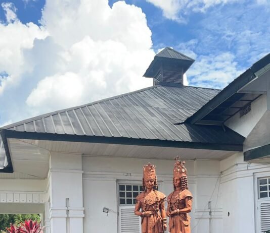 Sidang Kasus Dugaan Korupsi UDD PMI Muara Enim Salah Kaprah Tipikor! Benarkah Dana Donor Darah Masuk Kas Negara? Ini Fakta Hukumnya Menurut Pakar Hukum Unsri