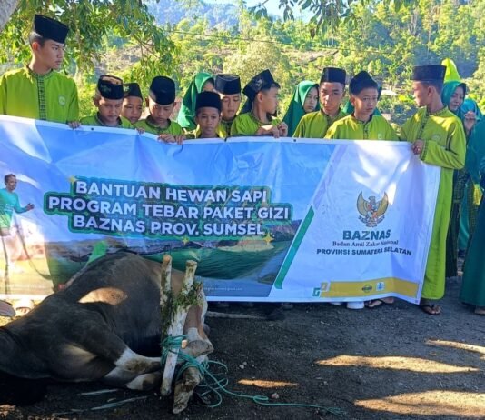 BAZNAS Sumsel Wujudkan Kebahagiaan Idul Adha Mustahik, Tiga Sapi Disalurkan Melalui Program Tabur Gizi
