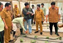 PLN UIP Sumbagsel Bersama Pemkab Banyuasin Resmikan Program “SINAR BOHLAM” untuk Dorong Kesejahteraan Petani Melon