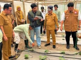 PLN UIP Sumbagsel Bersama Pemkab Banyuasin Resmikan Program “SINAR BOHLAM” untuk Dorong Kesejahteraan Petani Melon