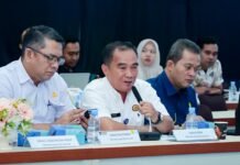 PLN, Kementerian ESDM, dan Pemerintah Daerah Sinkronkan Program Lisdes, Percepat Pemerataan Kelistrikan di Sumatera Selatan