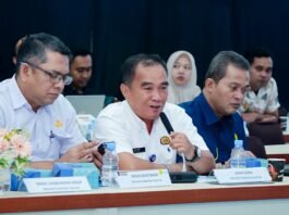 PLN, Kementerian ESDM, dan Pemerintah Daerah Sinkronkan Program Lisdes, Percepat Pemerataan Kelistrikan di Sumatera Selatan
