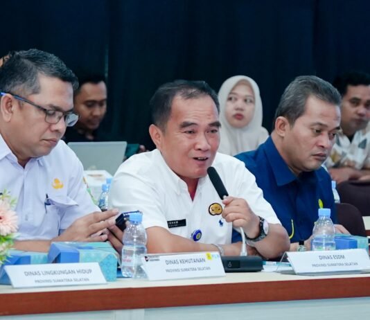 PLN, Kementerian ESDM, dan Pemerintah Daerah Sinkronkan Program Lisdes, Percepat Pemerataan Kelistrikan di Sumatera Selatan