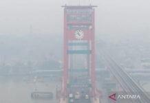Karhutla Picu Lonjakan ISPA di Palembang, Warga Diimbau Waspadai Dampak Kabut Asap